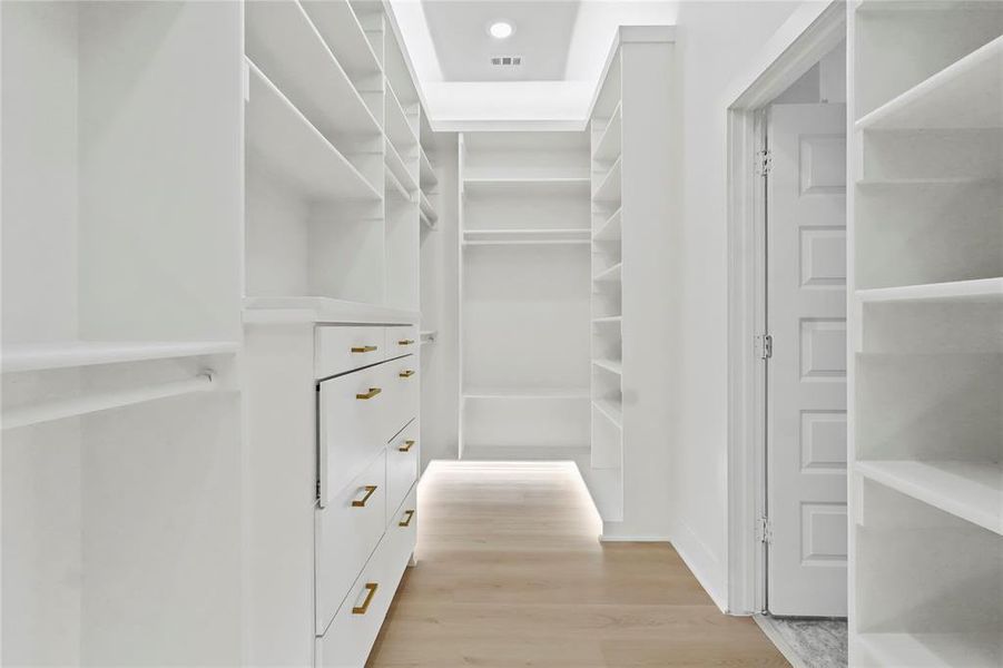 Spacious closet featuring light wood-style floors