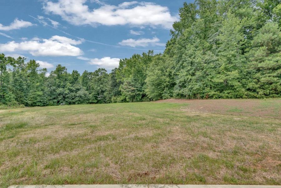 Natural landscape and outdoor views near in Newborn (Image 42). Natural landscape and outdoor views near in Newborn (Image 42).