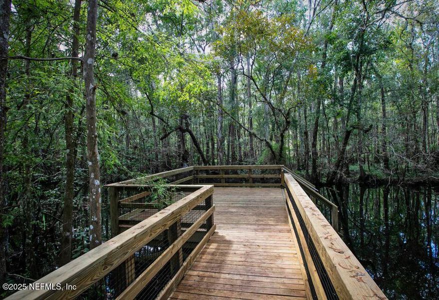 Natural landscape and outdoor views near Trailmark in St. Augustine (Image 34).