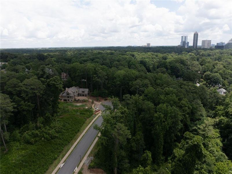 Natural landscape and outdoor views near Blue Heron Walk in Atlanta (Image 32).