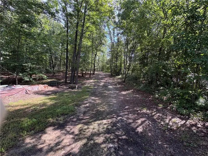 Natural landscape and outdoor views near  in Dawsonville (Image 54).