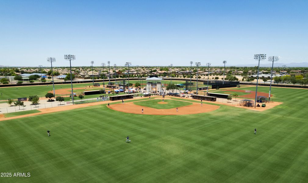 Surprise Spring Training Surprise Spring Training