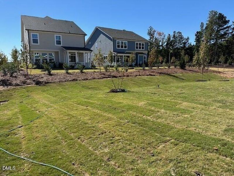 GLT 9 Back GLT 9 Back