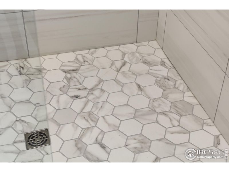 Primary Bathroom Step-in Shower Primary Bathroom Step-in Shower