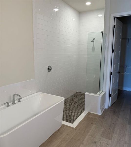 Furnished interior view inside a new home in The Reserve at Victoria, Deland (Image 5).