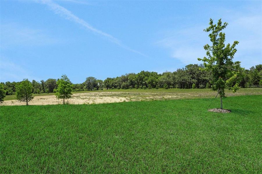 Natural landscape and outdoor views near Reserve at Hammock Oaks in Lady Lake (Image 29). Natural landscape and outdoor views near Reserve at Hammock Oaks in Lady Lake (Image 29).