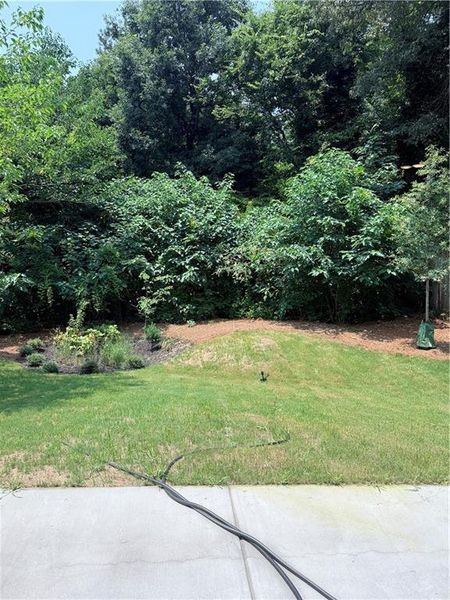 Natural landscape and outdoor views near  in Atlanta (Image 31).