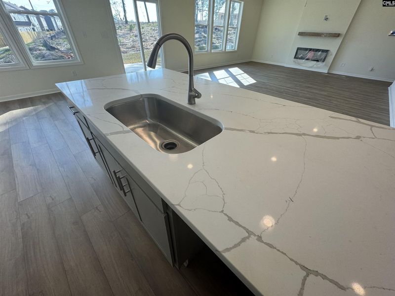 Close-up of interior finishes inside a home in Boykin Hills, Chapin (Image 8).