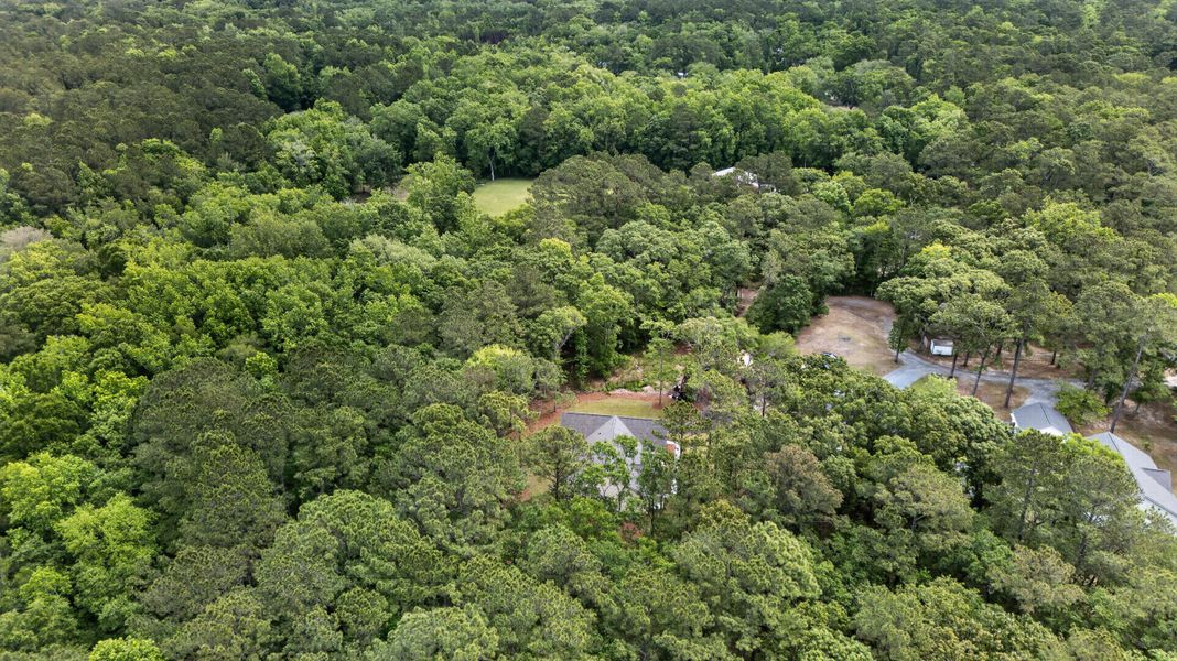 Natural landscape and outdoor views near  in Johns Island (Image 37).