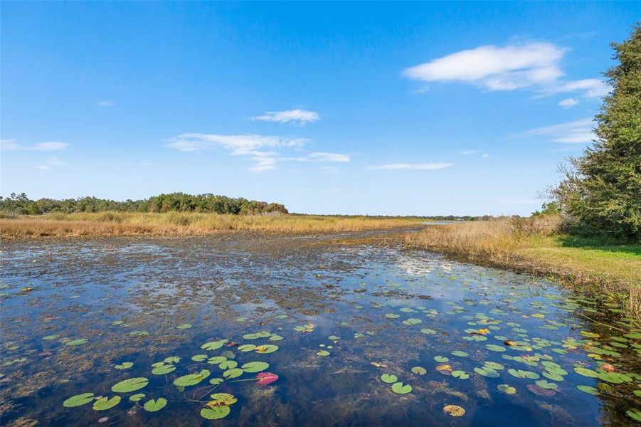 Natural landscape and outdoor views near  in Spring Hill (Image 36).