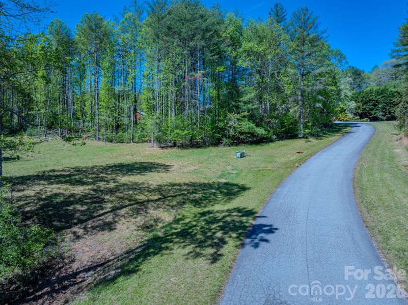 Natural landscape and outdoor views near  in Hendersonville (Image 7).