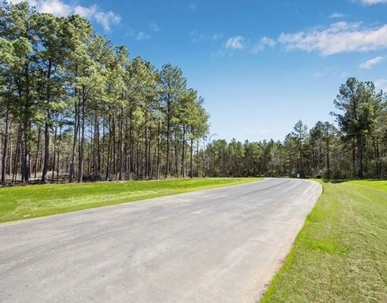 Aerial view of neighborhood