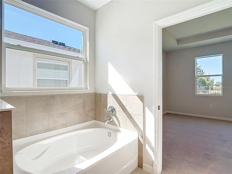 Image 73 of a home in Mirada.