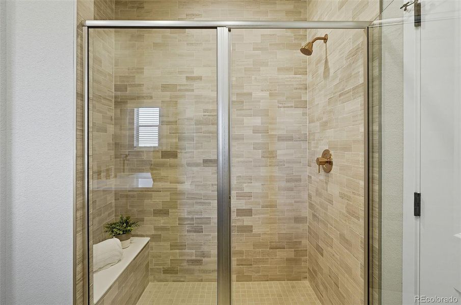 Primary Bath Walk-in Shower