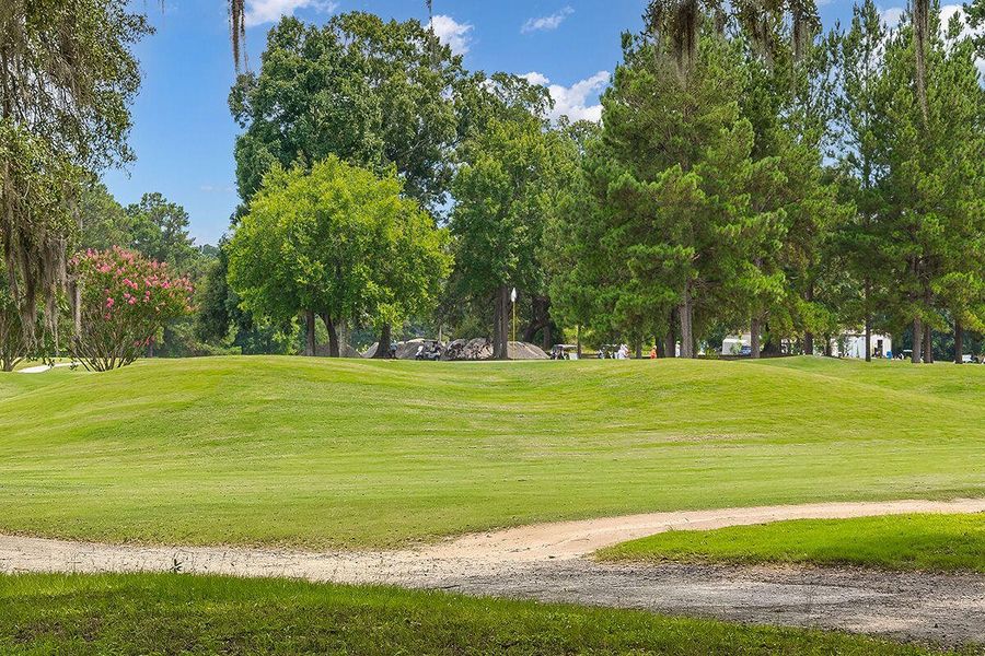 Natural landscape and outdoor views near  in Moncks Corner (Image 38).