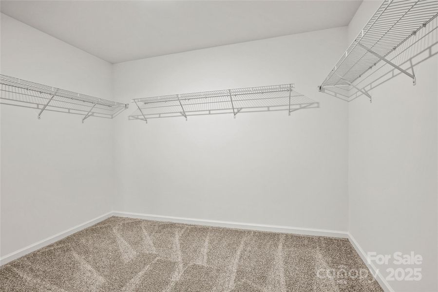 Digital Image Similar