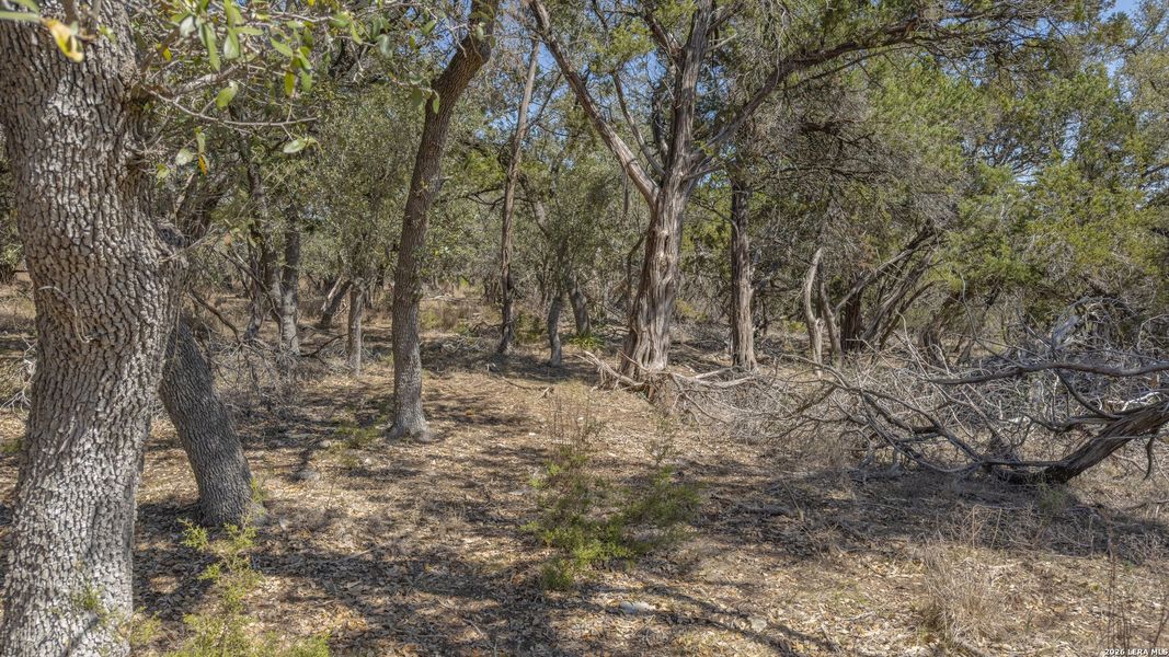 Natural landscape and outdoor views near in Canyon Lake (Image 9). Natural landscape and outdoor views near in Canyon Lake (Image 9).