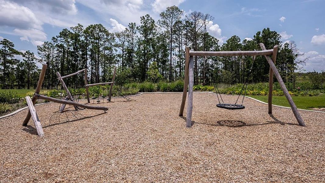 Community amenities in Harvest at Ovation, Winter Garden (Image 39).