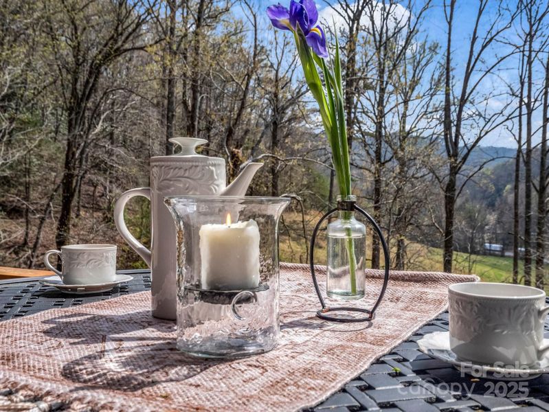 Exterior details and patio area of a home in , Hendersonville (Image 27).