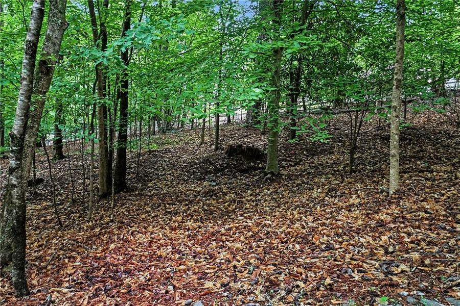 Natural landscape and outdoor views near  in Marietta (Image 22).
