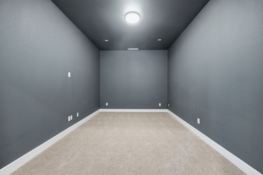 Entertainment Room