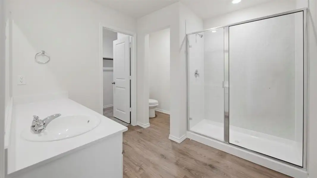 Bathroom with vanity, a shower stall, light wood-style floors, and a walk in closet