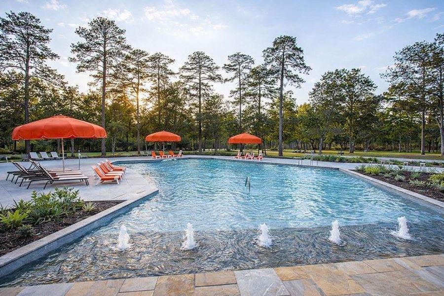 This photo showcases a serene outdoor pool area surrounded by lush trees, featuring stylish lounge chairs and vibrant orange umbrellas. The setting is perfect for relaxation and enjoying nature.