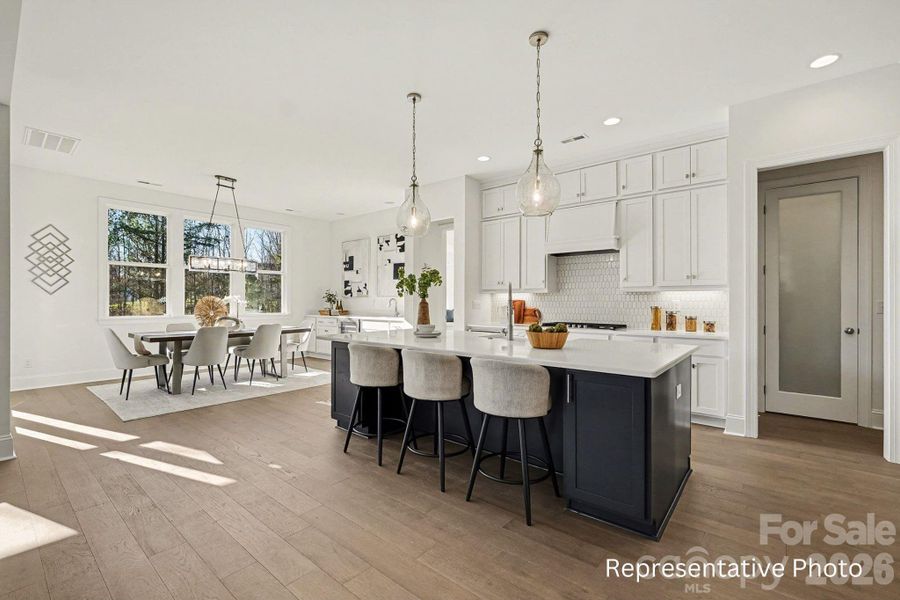 Furnished interior view inside a new home in Shepherds Trace, Clover (Image 7).