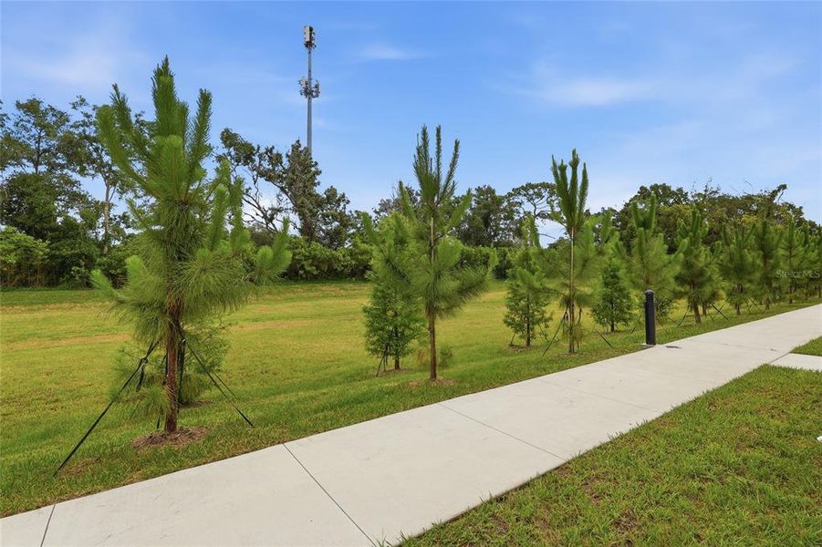 Natural landscape and outdoor views near in Tampa (Image 24). Natural landscape and outdoor views near in Tampa (Image 24).