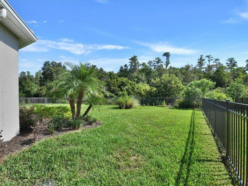 Exterior details and patio area of a home in , Wesley Chapel (Image 27).