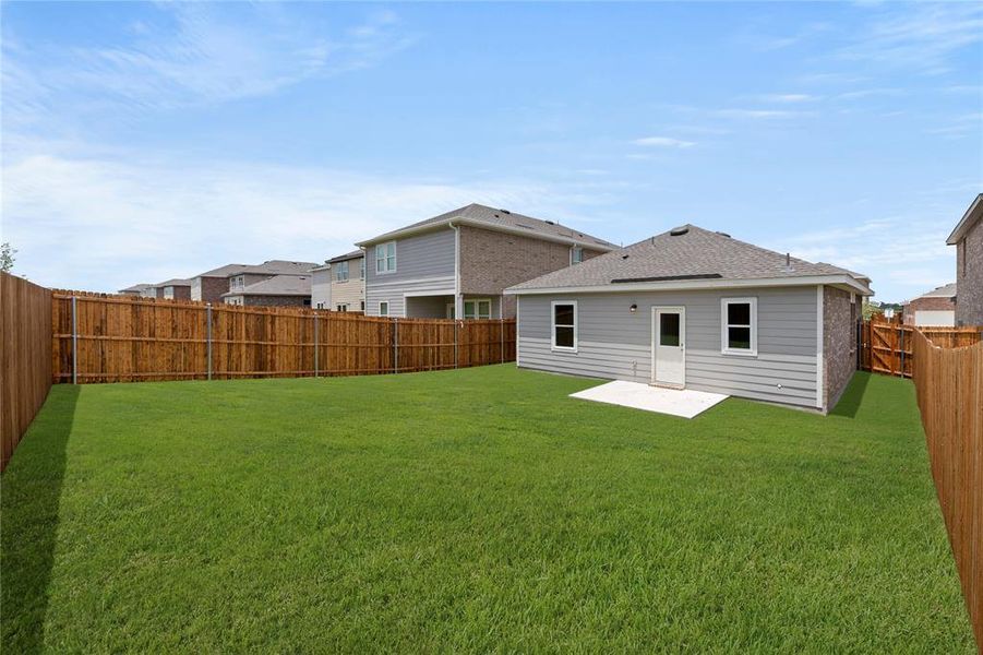 27. 5936 Sahara - Back (2)