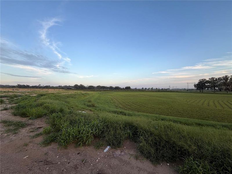 Natural landscape and outdoor views near in Newberry (Image 40). Natural landscape and outdoor views near in Newberry (Image 40).