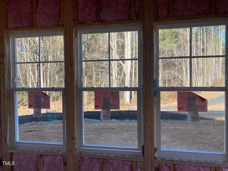 looking out sunroom windows