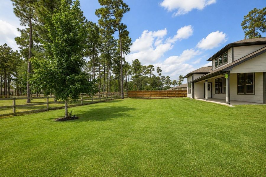 Expansive backyard with lush green lawn, mature trees, and a charming fence, offering ample space for outdoor activities and relaxation.