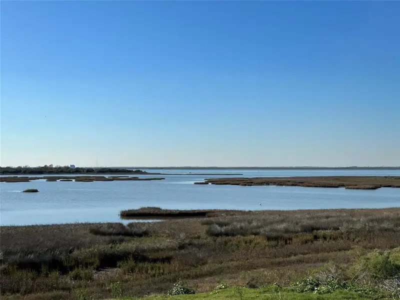 View of wetlands behind home