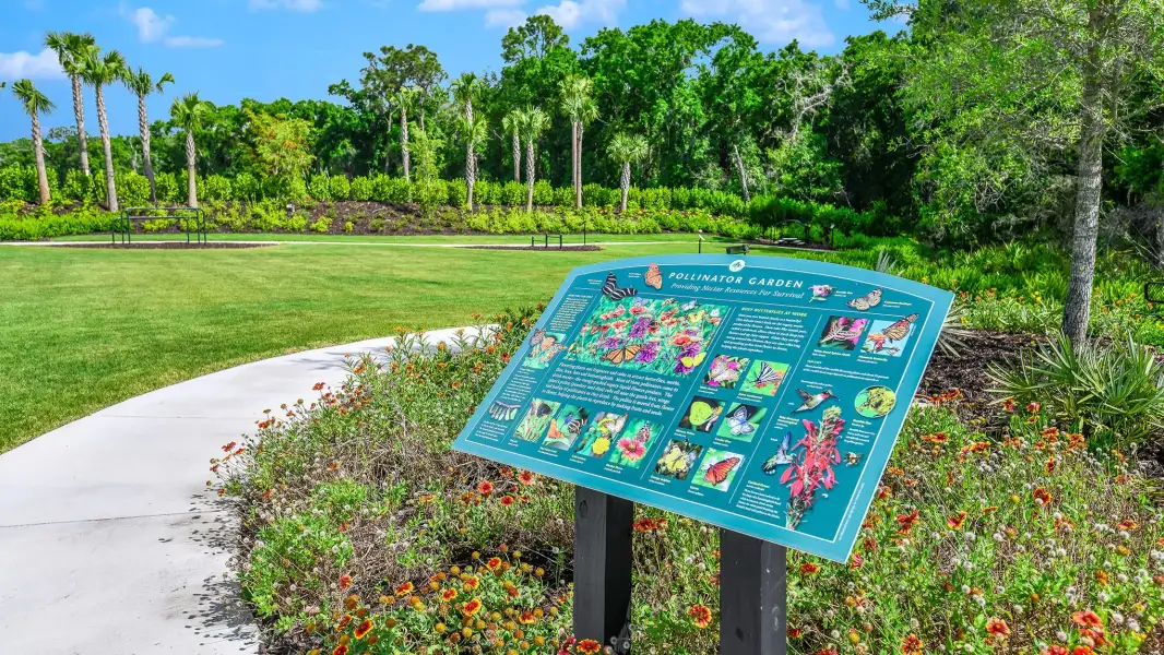 Community amenities in Esplanade at Azario Lakewood Ranch, Bradenton (Image 62).