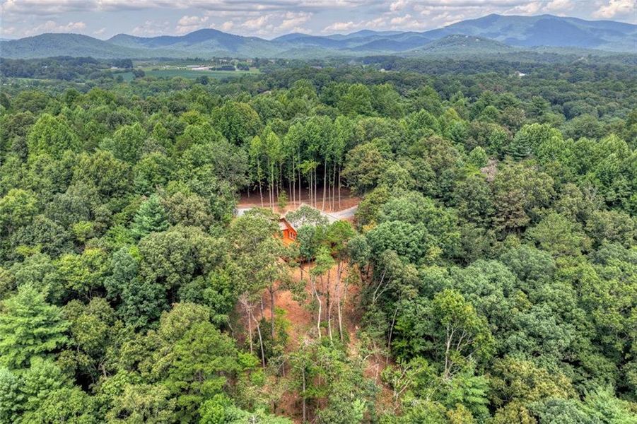 Natural landscape and outdoor views near in Ellijay (Image 42). Natural landscape and outdoor views near in Ellijay (Image 42).