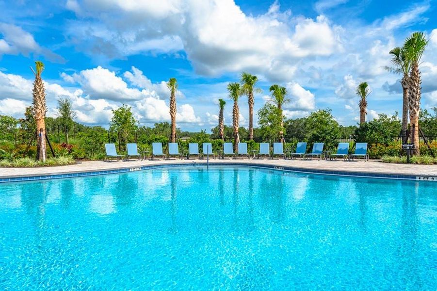 Community amenities in Palm Wind, Hudson (Image 22).