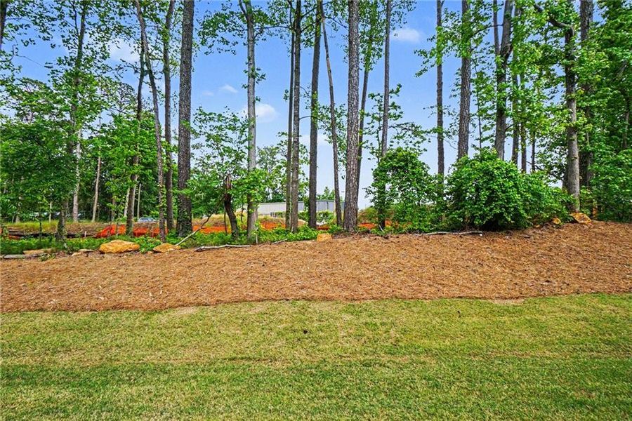 Natural landscape and outdoor views near Gates at Hamilton Grove in Marietta (Image 30).