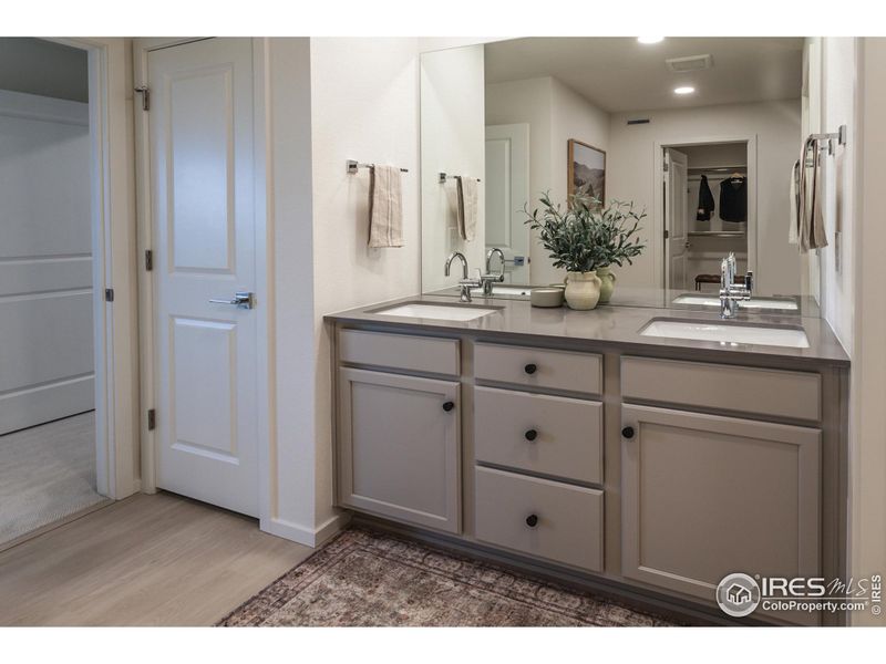 EXAMPLE PHOTO: MASTER BATH