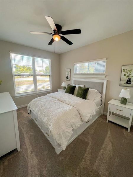 Carpeted bedroom with a ceiling fan and baseboards