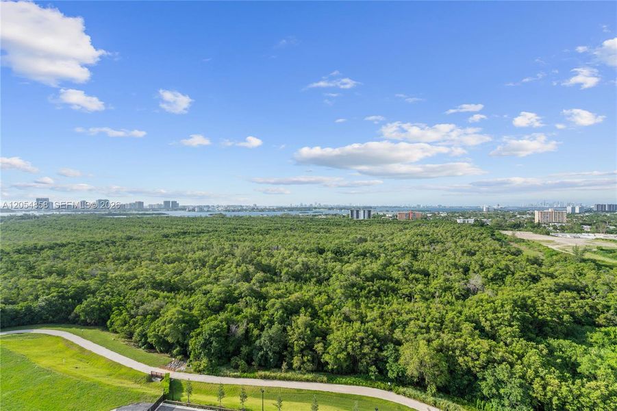 Natural landscape and outdoor views near One Park Tower in Miami (Image 61).