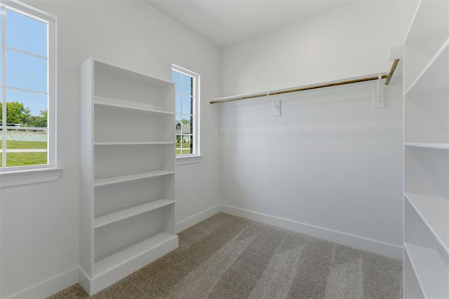 Spacious closet featuring built-in shelving, carpet flooring, a clothing rod, and multiple windows
