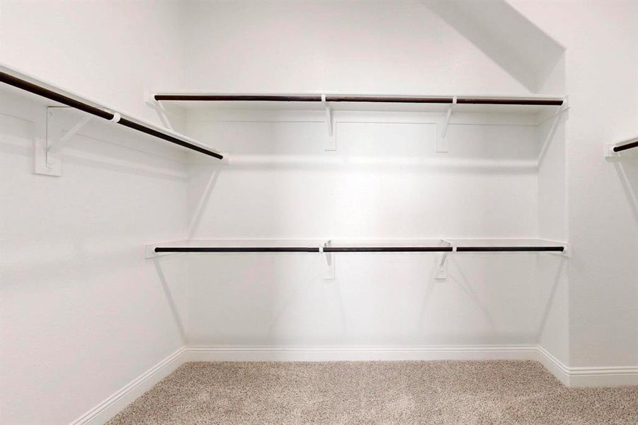 Spacious closet with carpet floors