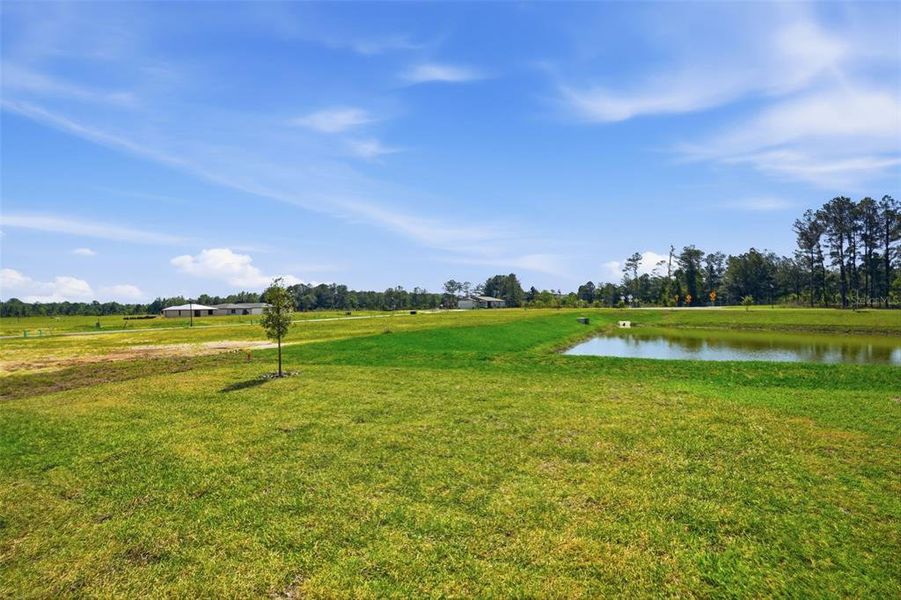 Natural landscape and outdoor views near Leyland Preserve - Premier Series in Brooksville (Image 54).