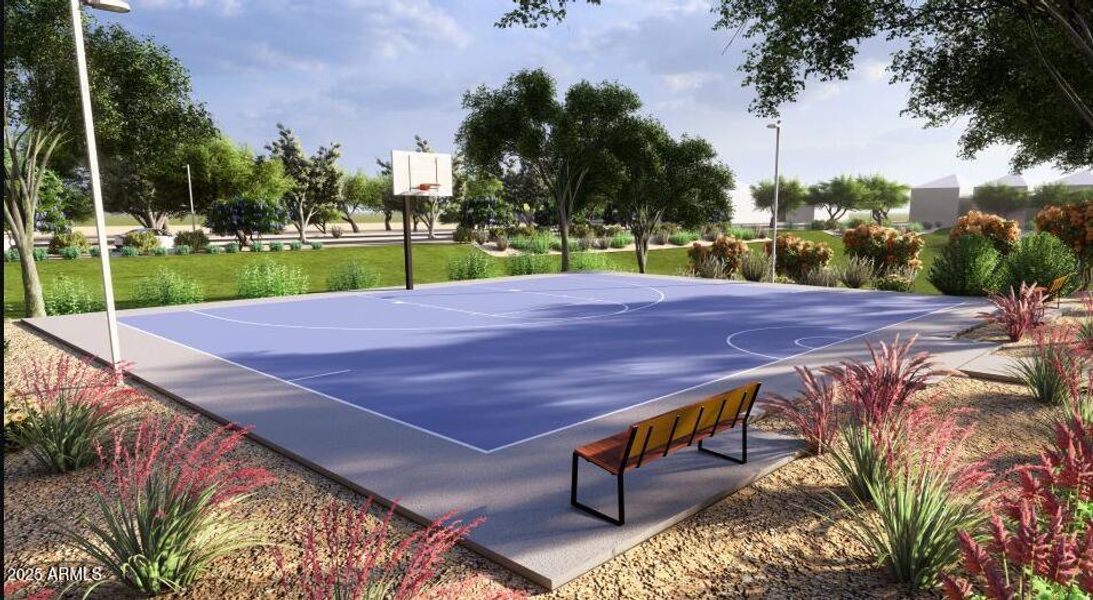 Basketball Court Basketball Court