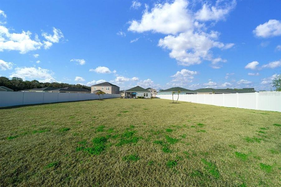 Natural landscape and outdoor views near  in Ocala (Image 67).