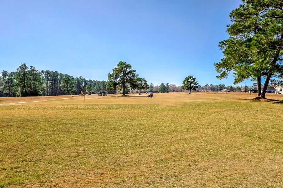 Natural landscape and outdoor views near  in Trinity (Image 23).