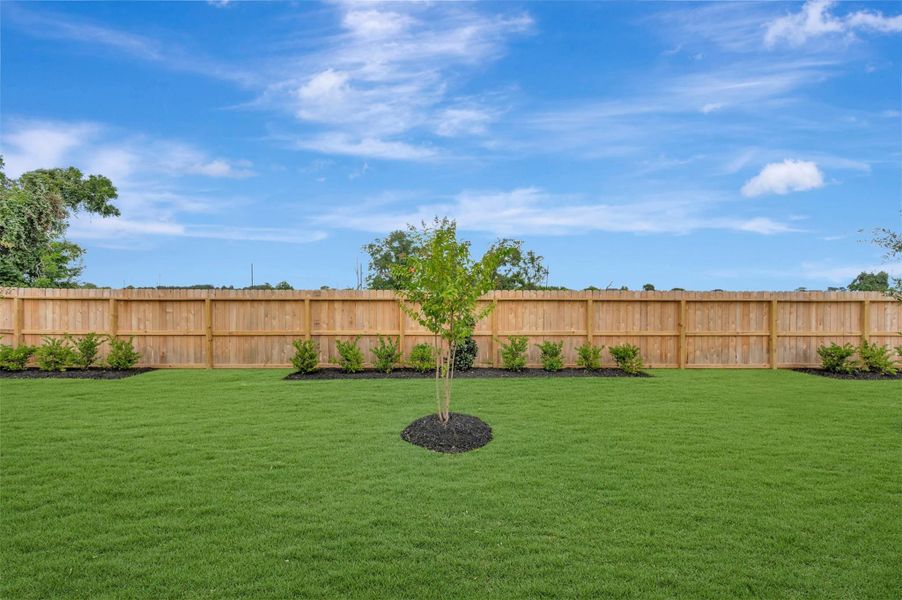 Peaceful backyard with lush landscaping