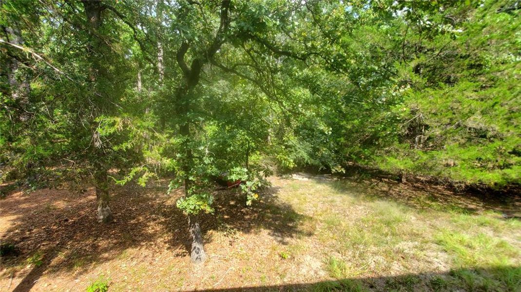 View of backyard View of backyard